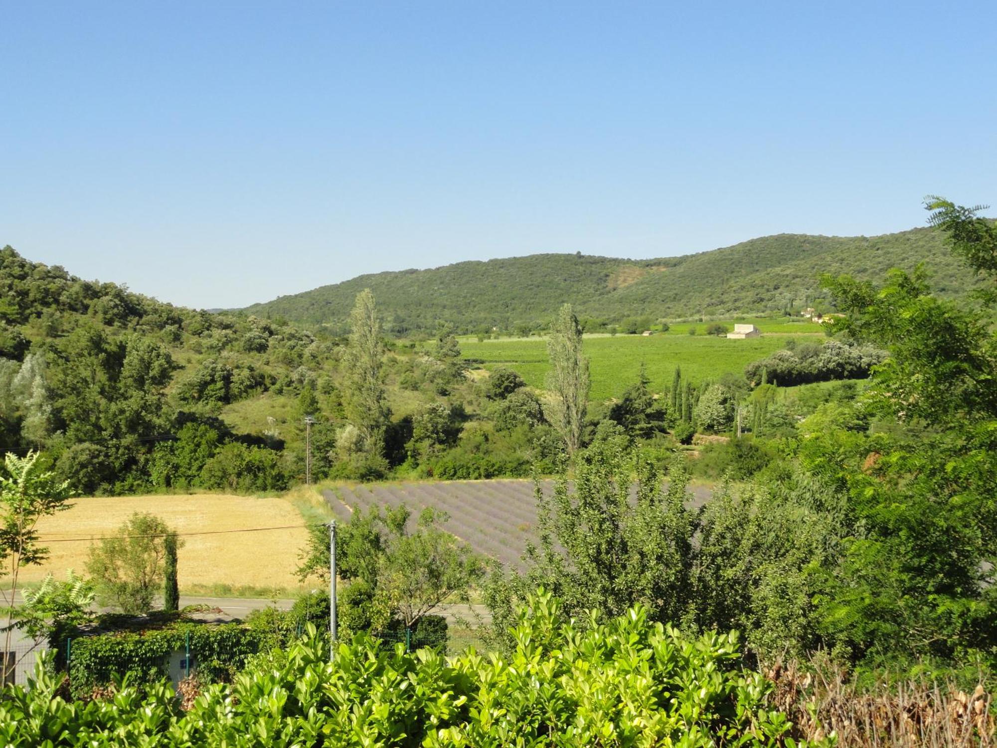 Les Lauriers Roses Vallon Pont D'Arc Lagorce  Zewnętrze zdjęcie
